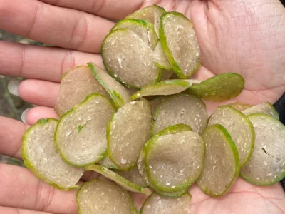 krupuk-jengkol-terasi-68a7e478396b6 krupuk-jengkol-terasi-68a7e478396b6