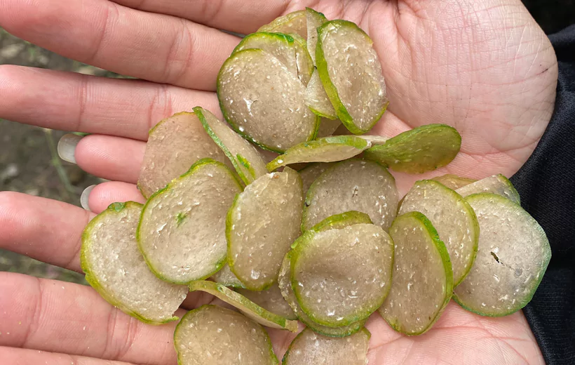 krupuk-jengkol-terasi-68a7e478396b6