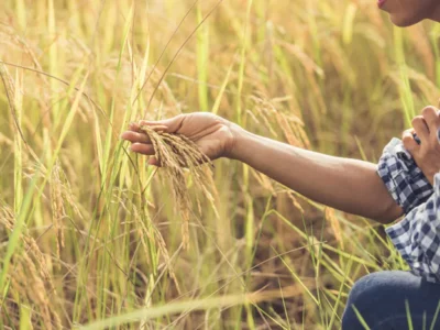 potensi-desa-lembang-garut-pertanian-wisata-dan-budaya-lokal-68a6a97c8654f