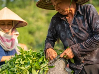 profil-desa-lembang-kec-leles-garut-sejarah-masyarakat-dan-pembangunan-68a6a97ea1408